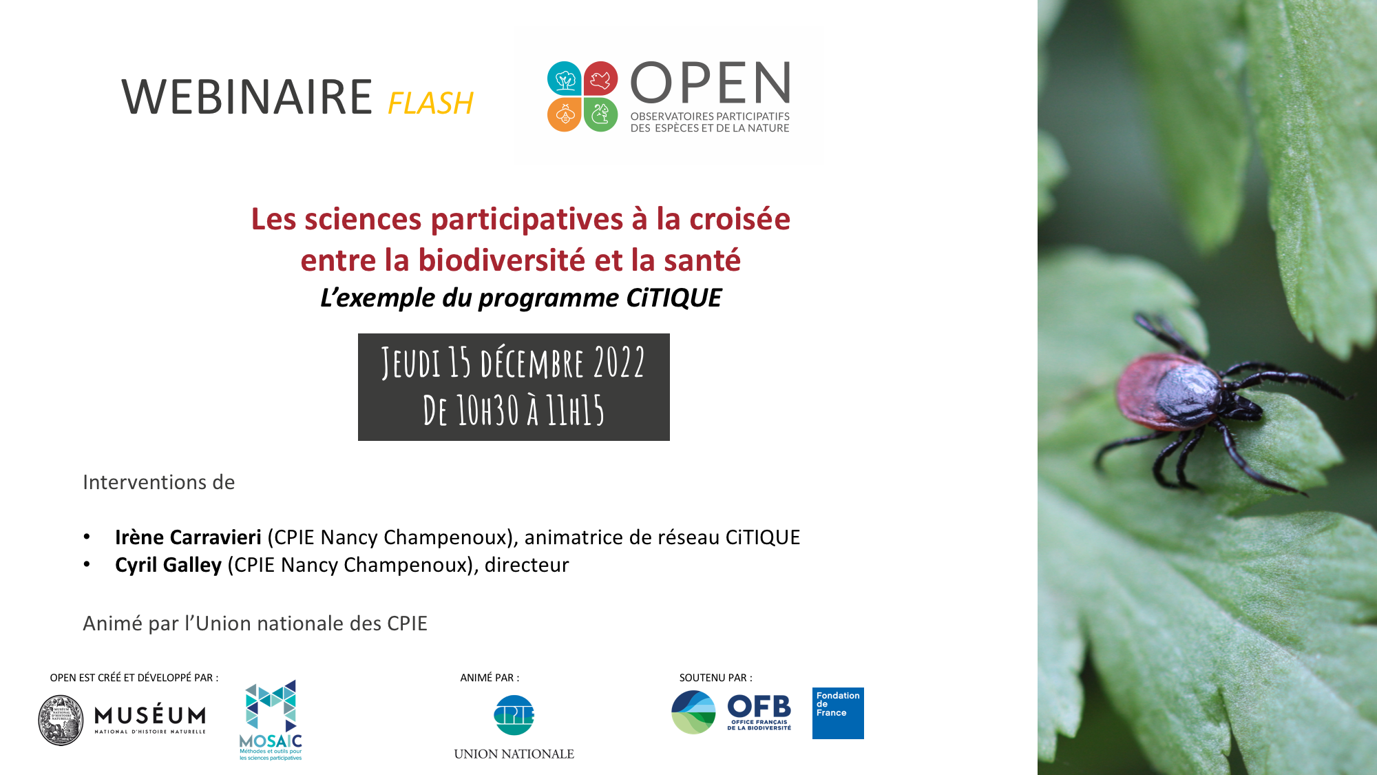 Webinaire OPEN : Lier la biodiversité et la santé, l'exemple de CiTIQUE
